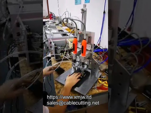 Double-Head Desk Z-Axis Moving Electric Screwdriver with Auto Feeding System