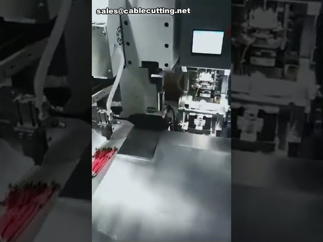 Automatic Double-Head Single-Wear Waterproof Bolt Machine for Wire & Cable